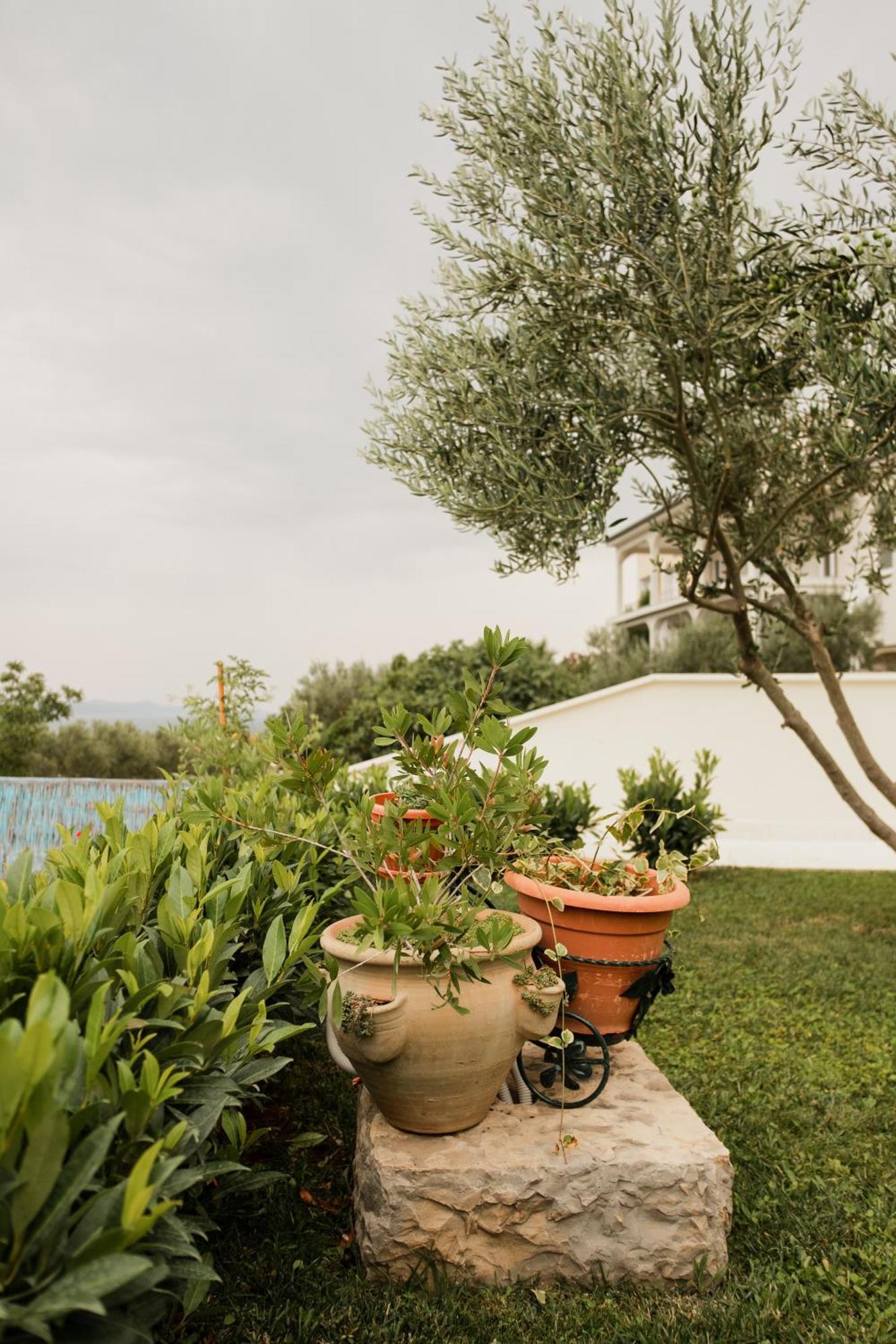 Vila Maricic Sveti Petar  Esterno foto